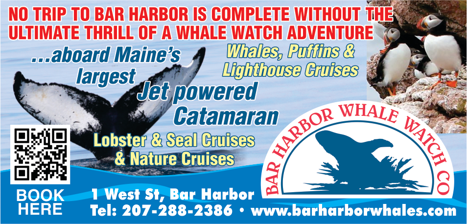 Bar Harbor Whale Watch Co. Print Ad