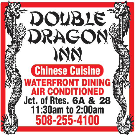 Double Dragon Inn Print Ad