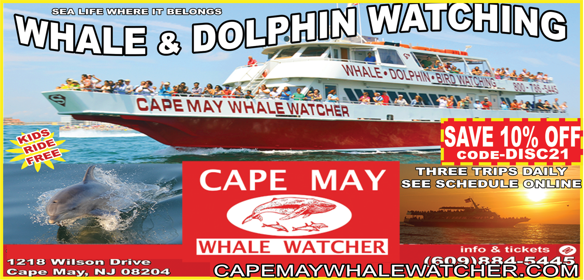 Cape May Whale Watcher Print Ad
