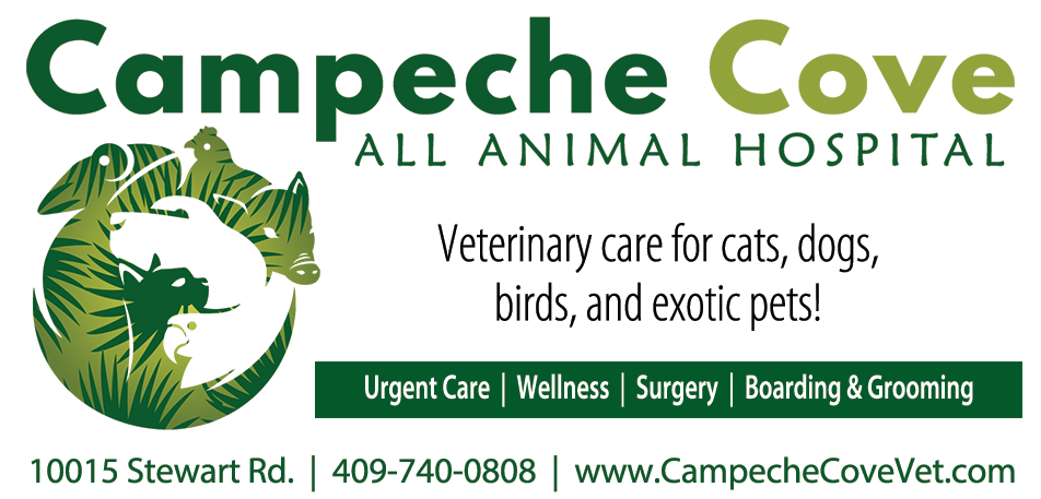 Campeche Cove All Animal Hospital Print Ad