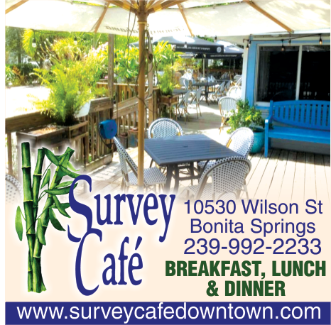 Survey Cafe Print Ad