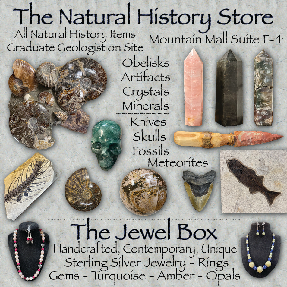 The Natural History Store Print Ad