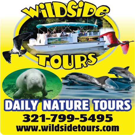Wildside Tours Print Ad