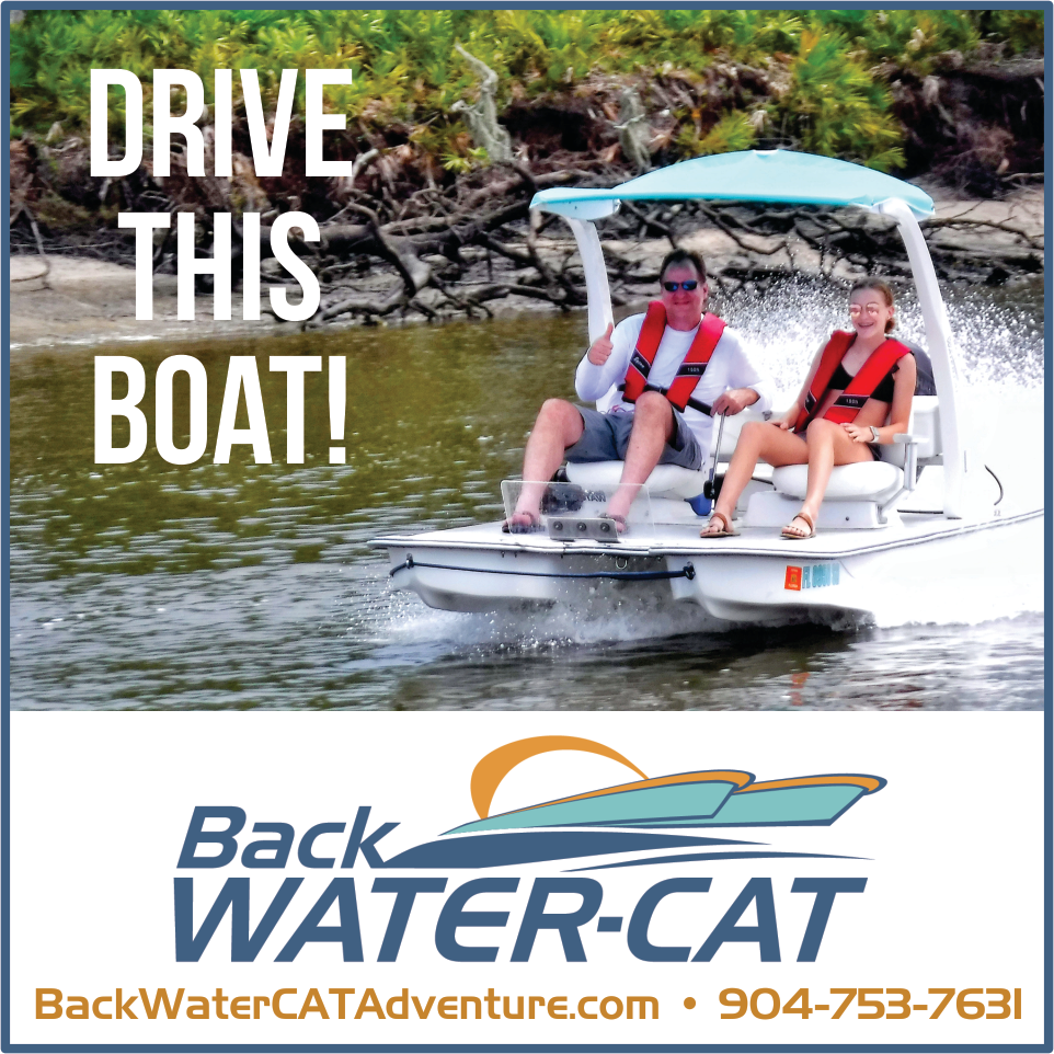 Backwater Cat Print Ad