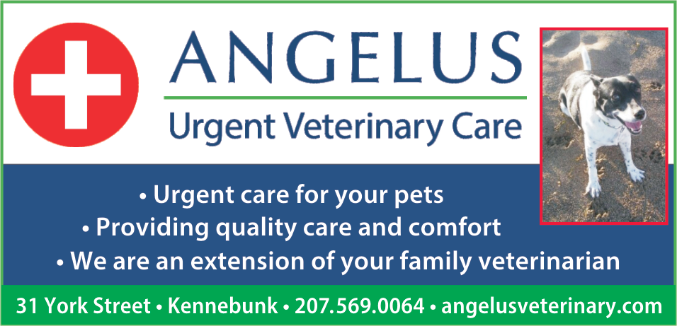 Angelus Urgent Veterinary Care Print Ad