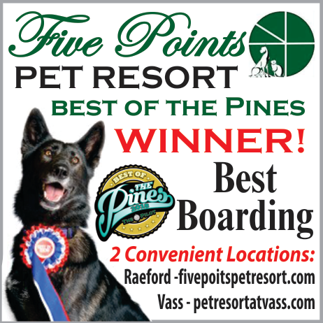 Five Points Pet Resort Reaford Print Ad