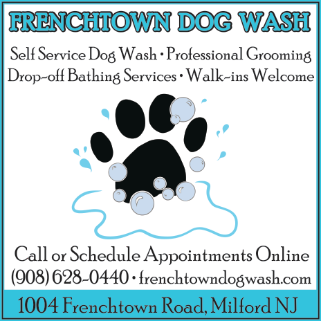 Frenchtown Dog Wash Print Ad