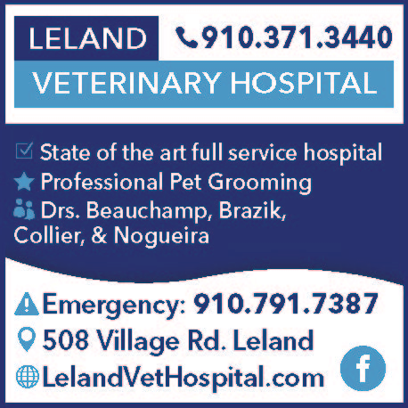 Leland Veterinary Clinic Print Ad