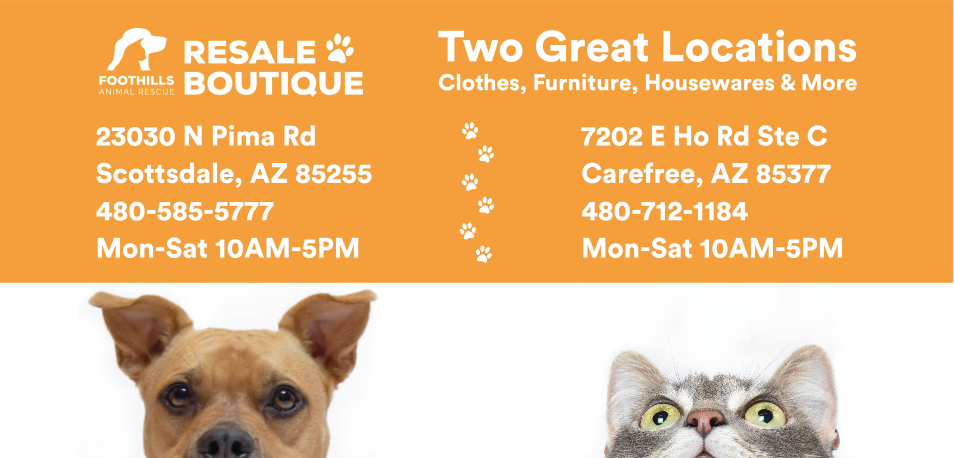 Foothills Animal Rescue Resale Boutique Print Ad