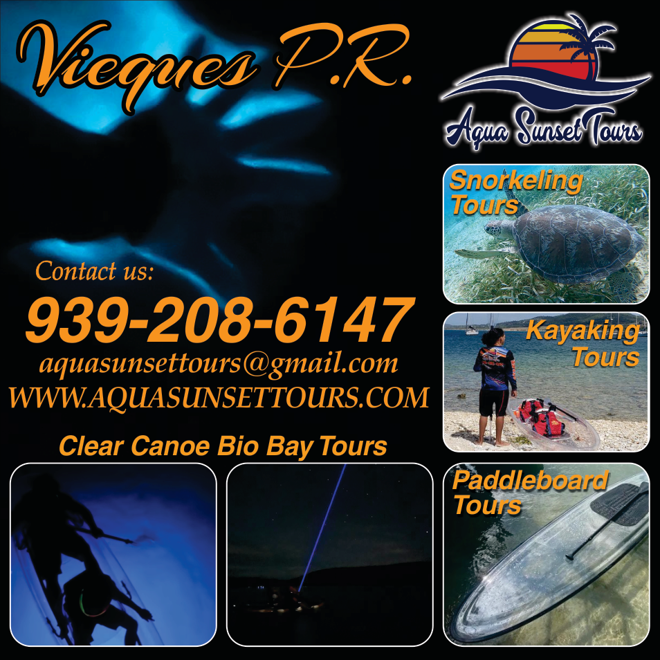 Aqua Sunset Tours Print Ad