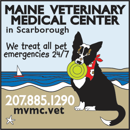 Maine Veterinary Referral Service Print Ad