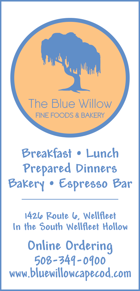 The Blue Willow Print Ad