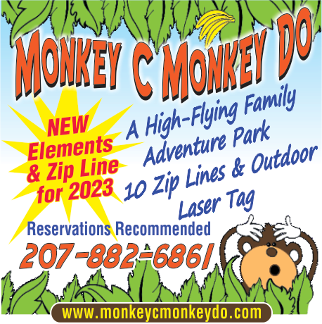 Monkey C Monkey Do Adventure Park & Zip Lines Print Ad
