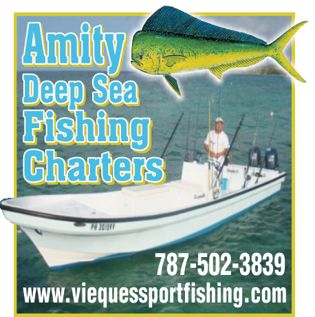 Amity Fishing Charters Print Ad