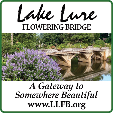 Lake Lure Flowering Bridge Print Ad