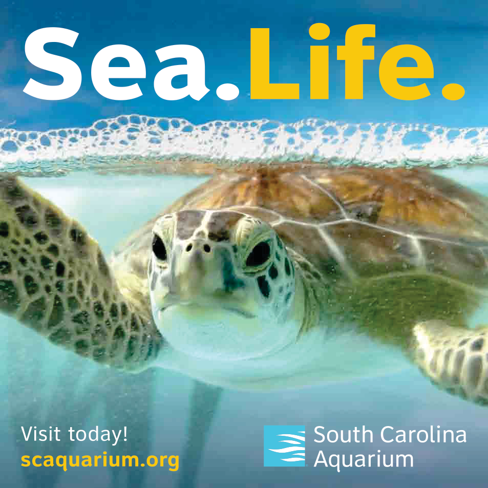South Carolina Aquarium Print Ad