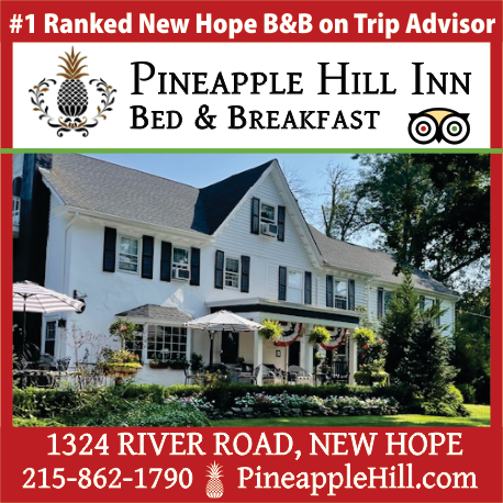 Pineapple Hill Inn Bed & Breakfast Print Ad