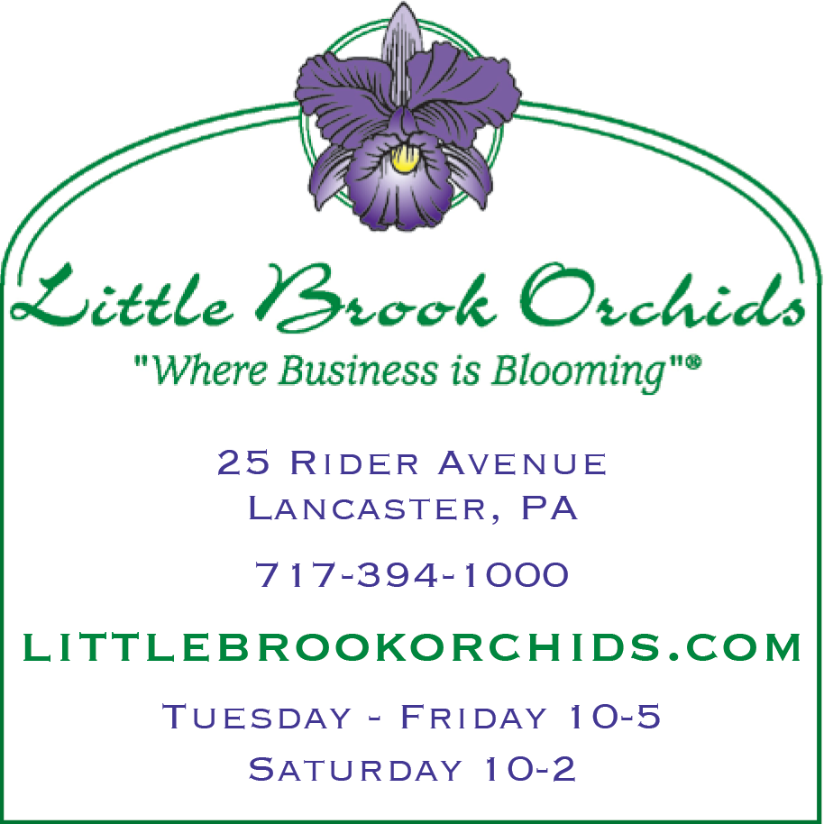 Little Brook Orchids Print Ad