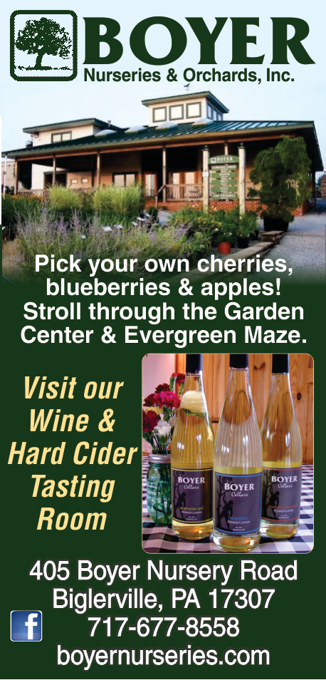 Boyer Nursery Orchards & Winery Print Ad