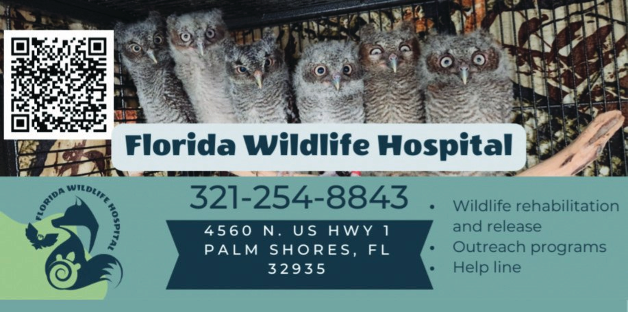 Florida Wildlife Hospital Print Ad