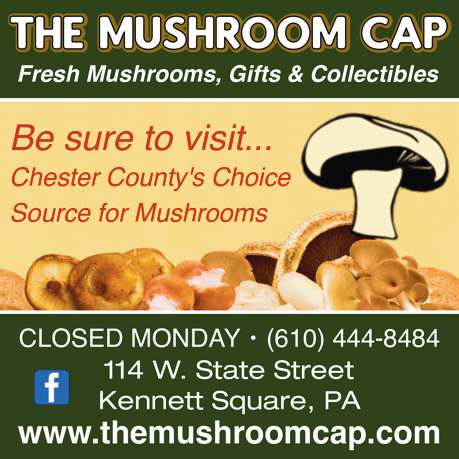MUSHROOM CAP Print Ad