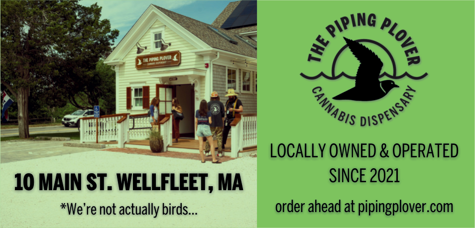 The Piping Plover Print Ad