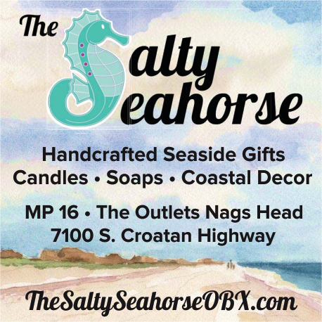 Salty Seahorse Print Ad