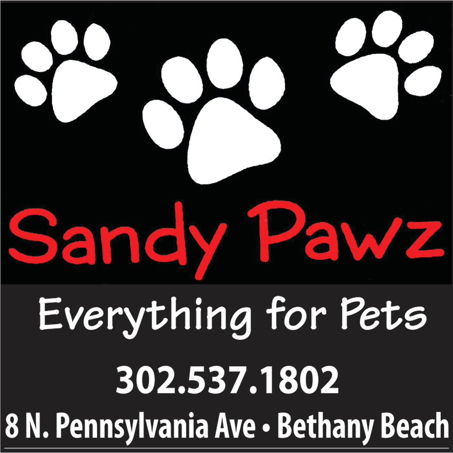 SANDY PAWZ PET GIFT SHOP Print Ad