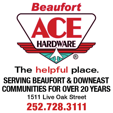 ACE Home Center Print Ad