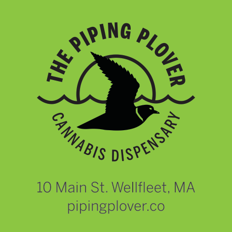 The Piping Plover Print Ad