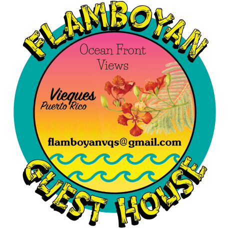 Flamboyan Guesthouse Print Ad