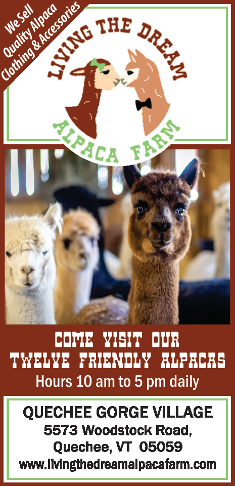 Living The Dream Alpaca Farm Print Ad