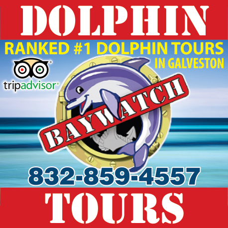 Baywatch Dolphin Tours Print Ad