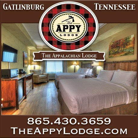 The Appy Lodge Print Ad