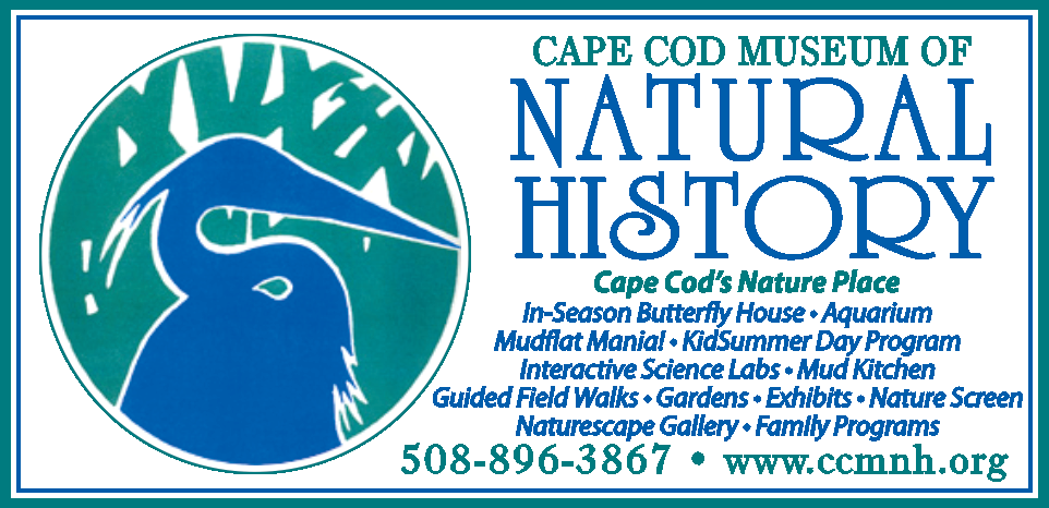 Cape Cod Museum of Natural History Print Ad