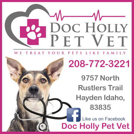 Doc Holly Pet Vet Print Ad