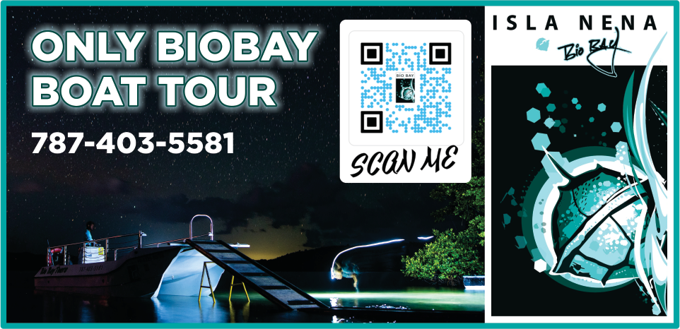Isla Nena Biobay Boat Tours Print Ad
