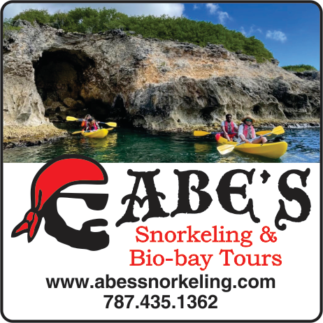 Abe's Snorkeling & Bio-Bay Tours Print Ad