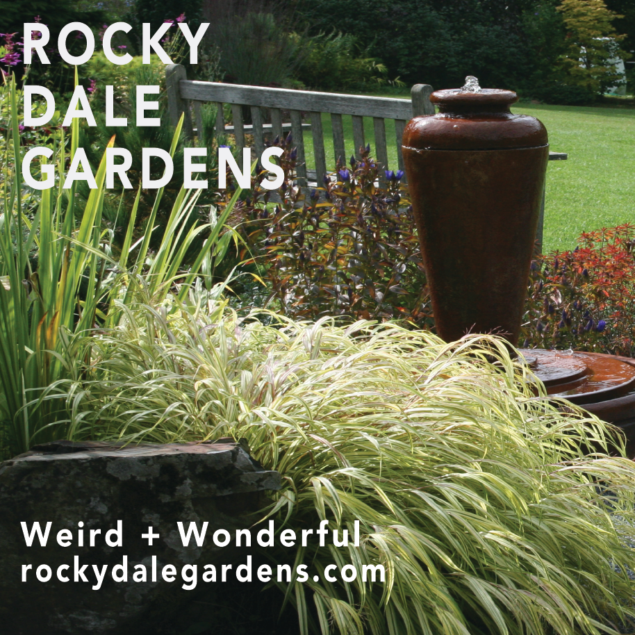 Rocky Dale Gardens Print Ad