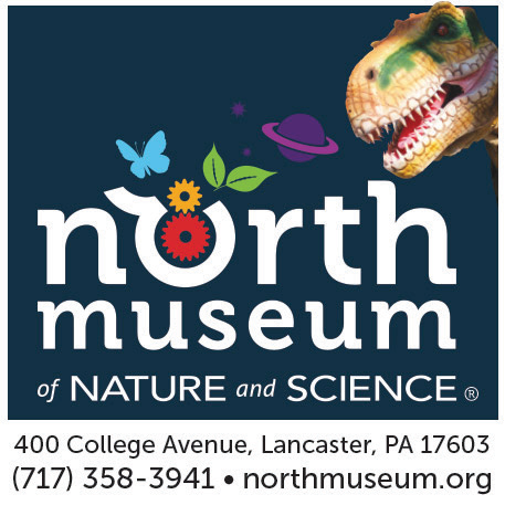 North Museum of Nature and Science Print Ad