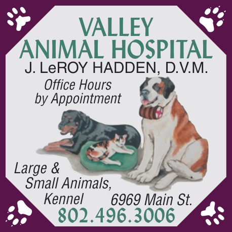 Valley Animal Hospital Print Ad