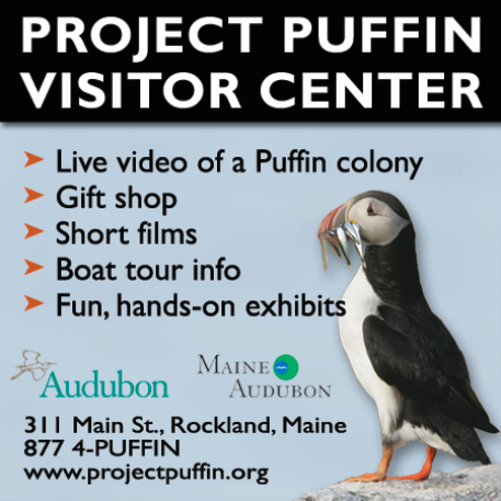 Project Puffin Visitor Center Print Ad