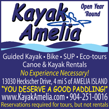 Kayak Amelia Print Ad
