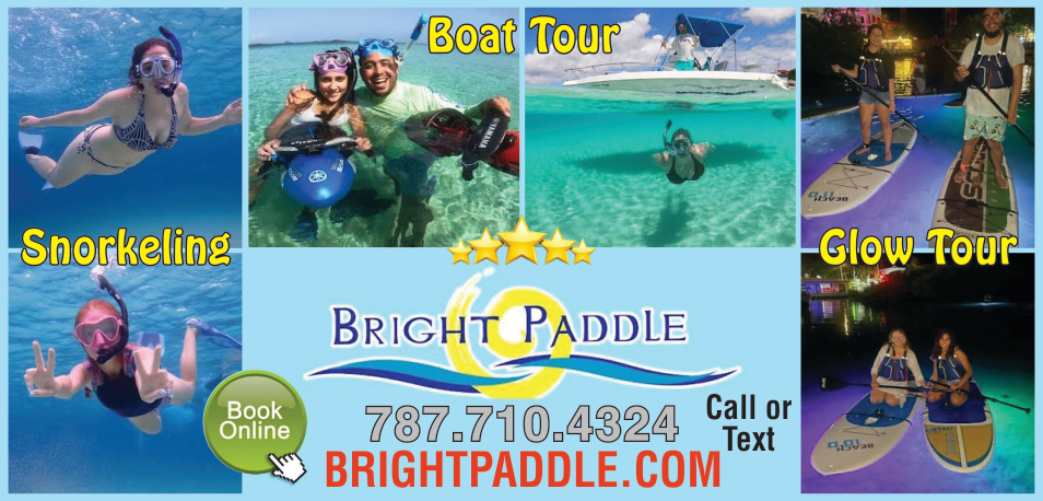 Bright Paddle Inc. Print Ad