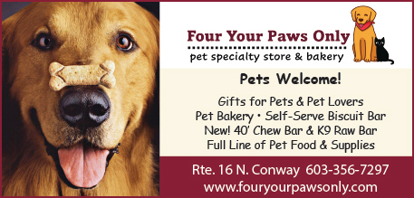 Four Your Paws Only Print Ad
