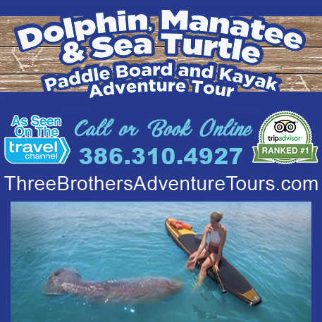 Three Brothers Dolphin & Manatee Adventure Tour Print Ad