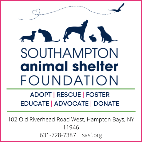 Southampton Animal Shelter Print Ad