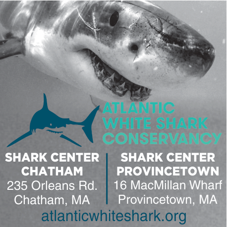 Chatham Shark Center Print Ad