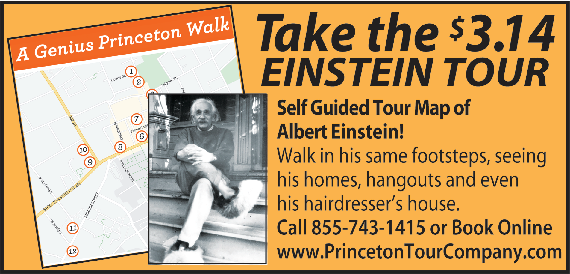 $3.14 Einstein Tour Print Ad
