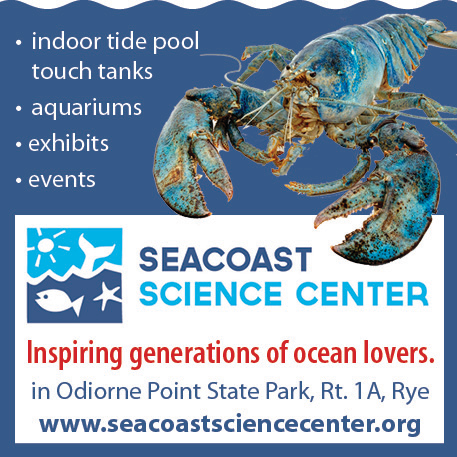 Seacoast Science Center Print Ad